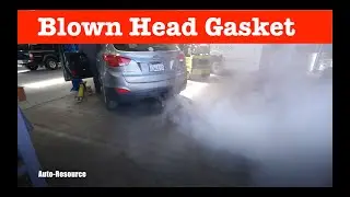 Signs of Blown Head Gasket