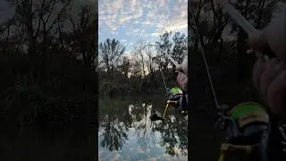 feeder fishing river #wędkarstwo #fishing #karpiowanie #fish #fishinglife