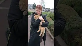 48🚢 Прекрасный рыжий котик и Мария в парке Миниатюрк - конец ноября 2023