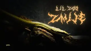 Lil Zoo  -  Zmije