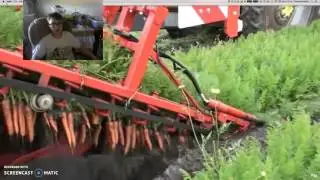 the most satisfying video in the world reaction