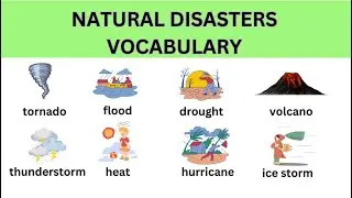 natural disasters vocabulary list
