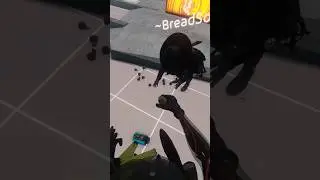 BONELAB🧨 #игры #pico4 #виртуальнаяреальность #pico4vr #vr #топ #bonelab #tiktok