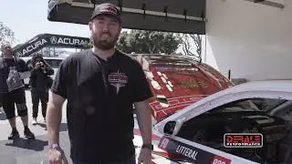 FANS WALKAROUND