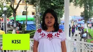 PALABRAS EN MIXTECO DE MIXTEPEC Y DE YOSOYÚA |2017|