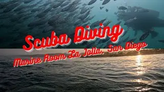 Scuba Diving Marine Room La Jolla, San Diego