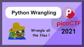 picoCTF 2021 - General Challenges - Python Wrangling