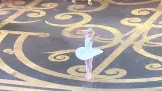 Вариация Авроры Евгении Образцовой в балете Спящая красавица
