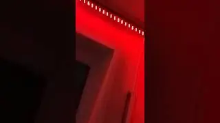 14 апреля 2023 г.