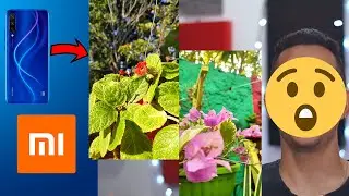 COMO sacar buenas FOTOS con tu Xiaomi (o cualquier teléfono)