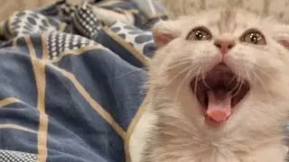 Не хочу расставаться,но приходится!!