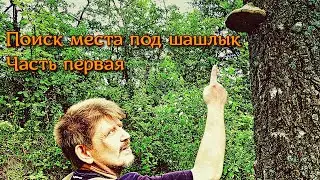 Ищем место под шашлык (Часть 1)