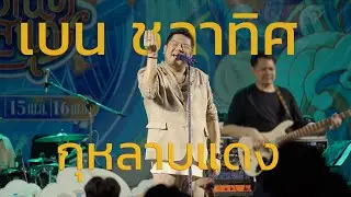 กุหลาบแดง   เบน ชลาทิศ