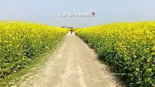 মানিকগঞ্জের হৃদয় হতে | Raw beauty of Manikganj