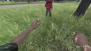 DayZ: Слабоумие и отвага