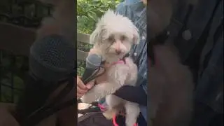 Making a beat with a DOG!🐕 🔥#makingbeats #beatbox #musicproducer