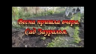 Spring came yesterday.Garden Of TRANS-Urals.