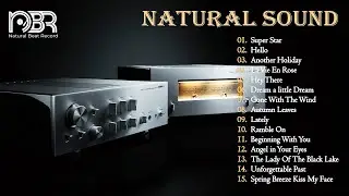 Hi-Res Music 32 Bit - Greatest Audiophile Music 2023 - Natural Beat Records