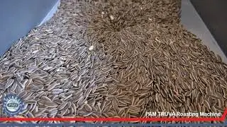 PAM TRUVA Full Automatic Roasting Line | Sunflower Seeds Roaster #nutroastingmachine