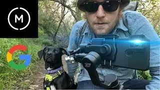 Moment 1.33x Anamorphic Lens on Google Pixel 4a with 5G Footage - Jasmine the Dog Mobile Short Film