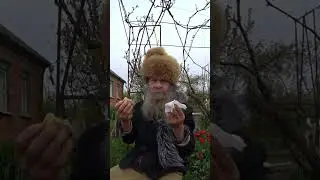 #витямитя