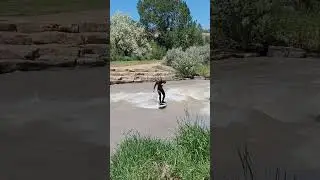 River Surfing Colorado #riverbottom #riversurfing