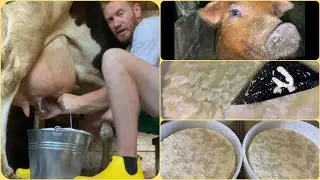ДОЮ РУКАМИ И СТРАДАЮ// МЯТНЫЙ СЫР ЭКСПРОМТОМ