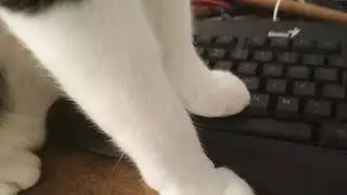 Data and boss
