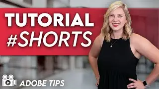 How to Export Video in Premiere Pro (Editing Tutorial)