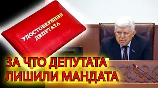 За что депутата сначала избрали, а потом лишили мандата
