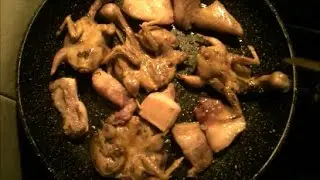 TORDI UCCELLETTI CON PEZZI DI PANCETTA AL SUGO #14 - Maria Rosa Pinto