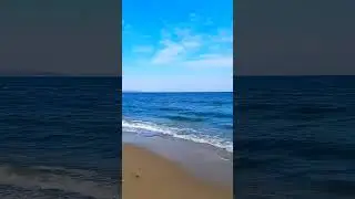 БАЛТИЙСКОЕ МОРЕ НЕ ПАХНЕТ?