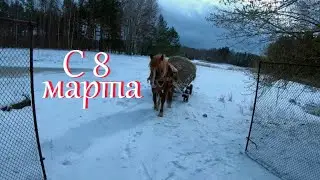 Как мы с Кузькой по лесам бродили // Жизнь на хуторе