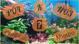 Нитрат Фосфатович, Редфилд Калиев - что это за мужики?
