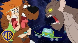 Be Cool, Scooby-Doo en Latino | Caelum Maximum 🚀 | WB Kids