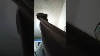драка века dafuq boom