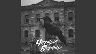 Чёрные вороны