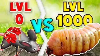 The MAGGOTS Are GROWING to MAX LEVEL in Idle Maggots
