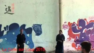 Ryushin Shochi ryu