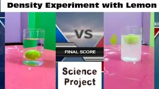 Lemon with salt in glass experiment| Knowledge Ocean