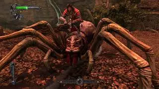 Оседлал паучка.Темная энергия 🎮Castlevania: Lords of Shadow#5