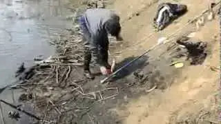 ловим рыбу