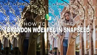 HOW TO EDIT LIKE BRANDON WOELFEL IN SNAPSEED