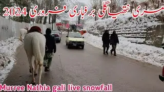Murree live Snowfall 2024 | #murree weather | nathia gali snowfall | murree #snow #2024