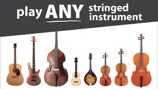 How to play ANY stringed instrument