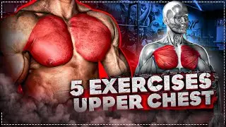 BEST 5 EXERCISES UPPER CHEST Workout Motivation💙