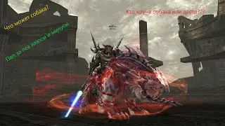 Lineage II Пвп за Собаку , мысли в слух о ней... #essence #lineage2 #nightrider #shorts