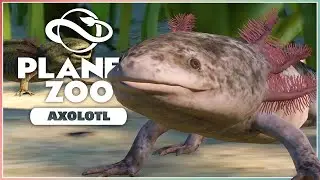 New Axolotl! | Planet Zoo Conservation Pack | Screenshot Reveals