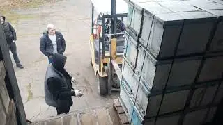 We're bringing the bees home