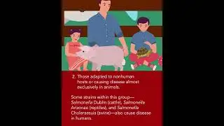 Exploring Zoonoses: Foodborne Illness | Merck Veterinary Manual